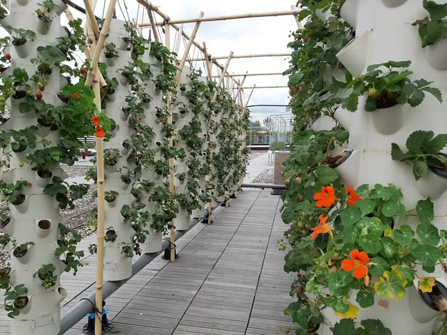 Personne entretenant facilement une colonne de culture